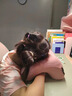小學(xué)生午睡枕兒童初高中生教室午休枕成人辦公室趴睡神器記憶棉 吸濕祛味竹炭款【淺藕粉】贈收納袋眼罩耳塞 曬單實(shí)拍圖