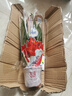 種花迷鴻運(yùn)當(dāng)頭盆栽花卉植物室內(nèi)花客廳鳳梨水培綠植大全 鴻運(yùn)當(dāng)頭【早 鴻運(yùn)當(dāng)頭【簡(jiǎn)易盆】 曬單實(shí)拍圖