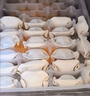 灣仔碼頭韭菜豬肉水餃1320g66只早餐食品速食半成品面點生鮮速凍餃子 曬單實拍圖