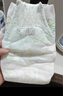 babycare金山茶花紙尿褲M(mǎn)50片(6-11kg)嬰兒尿不濕超薄透氣新生柔花苞褲 曬單實(shí)拍圖