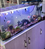 易丹魚缸燈防水t8燈管三色變光潛水可調(diào)色照明水族箱龍魚小型增艷 雙排高亮潛水燈（24cm/5W）藍(lán)白不會(huì)變光 曬單實(shí)拍圖