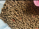 朗親 狗糧通用型40斤裝金毛拉布拉多邊牧德牧阿拉斯加大型犬成犬20kg 曬單實(shí)拍圖