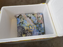 野獸派（THE BEAST）花神玲瓏鐘罩尋香禮盒香薰蠟燭室內(nèi)香薰新婚禮物生日禮物七夕禮物 曬單實(shí)拍圖
