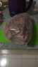 大列巴立多夫斯大面包酸口奶味哈爾濱特產(chǎn)俄式大列巴 秋林里道斯酸口大列巴1.4kg*1個 曬單實拍圖