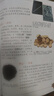 寧夏尋寶記 大中華尋寶系列32寧夏尋寶記 隨書附贈神獸吧唧 兒童中國地理科普知識百科漫畫書 兒童科普人文地理漫畫 6-12歲 暑假作業(yè) 一升二暑假銜接 小升初暑假銜接 曬單實拍圖