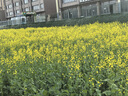 納麗德（NEXTORCH）TA30C高亮強(qiáng)光戰(zhàn)術(shù)手電筒戶外露營(yíng)騎行照明手電應(yīng)急防身搜索手電 曬單實(shí)拍圖