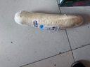 小湯山 北京 白蘿卜 800g 基地直供新鮮蔬菜 曬單實(shí)拍圖