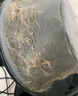 億力吸塵器車載家用手持桶式22000pa超強(qiáng)大吸力 工業(yè)開荒地毯床上強(qiáng)力吸貓毛小型除塵6253-10L國家補(bǔ)貼 曬單實(shí)拍圖