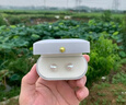 DAISY DREAM999銀針施家大珍珠耳釘女氣質(zhì)時尚高級感耳環(huán)2025年新款復(fù)古耳飾 Fever同款珍珠耳釘8mm 曬單實(shí)拍圖