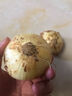 新鮮黃洋蔥黃金水果洋蔥即食蔬菜調料燒烤食材 新鮮黃洋蔥 500g 含箱 曬單實(shí)拍圖