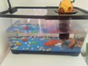 闊庭（KUOTING）魚缸水族箱生態(tài)桌面魚缸新款懶人魚缸生態(tài)造景過濾制氧一體機黑色 曬單實拍圖