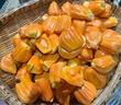 雷港正宗印尼紅肉菠蘿蜜整個果玫瑰紅水果進(jìn)口越南紅心菠蘿蜜紅色果肉 印尼紅肉菠蘿蜜【9-10斤整個果】 曬單實拍圖