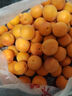 西域美農(nóng)新疆小紅杏3斤裝中果單果12-17g 吊干杏新疆阿克蘇杏子源頭直發(fā) 曬單實拍圖