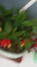 幼薇節(jié)節(jié)高富貴竹植物客廳轉(zhuǎn)運(yùn)綠植盆栽辦公室內(nèi)桌面好養(yǎng)盆景四季常青 九棵富貴竹+財(cái)源廣進(jìn)E款盆 帶盆栽好 曬單實(shí)拍圖
