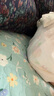 好奇（Huggies）鉑金裝成長褲XXL74片(15kg以上)小桃褲加加大號嬰兒尿不濕超薄 曬單實拍圖