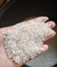 金龍魚乳玉皇妃 龍江長粒香米 5kg*1袋 10斤 曬單實(shí)拍圖