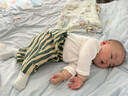 babylove嬰兒T恤春秋款純棉長袖上衣男女寶寶純色百搭打底衫內(nèi)搭秋裝 曬單實(shí)拍圖
