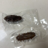 久年大連即食海參500g13-15只 固形物超85% 遼刺參京東自營 海鮮盒裝 曬單實(shí)拍圖
