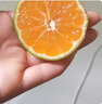 春福樂 新鮮青皮蜜橘【源頭直發(fā)】當季現摘水果云南蜜橘酸橘整箱包郵 凈重8.5-9斤親選 | 單果55-65mm 曬單實拍圖