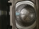 美的（Midea）波輪洗衣機全自動家用 MB55V36E 5.5公斤 宿舍租房 迷你洗衣機小型 隨心洗 以舊換新 家電國家補貼 曬單實拍圖