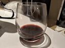 路易治·波米奧尼 意大利進口高檔水晶杯玻璃杯家用高顏值水杯啤酒牛奶果汁杯 宮廷水杯 400ml 1只 曬單實拍圖