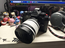 尼康（Nikon）Z5 Z6 Z7 Z6Ⅱ Z7Ⅱ Z8 Z9 二手全畫幅微單相機高清專業(yè)攝影照相機 99新 尼康ZF 黑【2.0固件】 單機身 標配【無內(nèi)存卡等配件，套餐更劃算】 曬單實拍圖