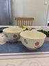 佩爾森（CERAMICS）小清新釉下彩陶瓷家用碗碟套裝2025新款高顏值吃飯碗面碗湯碗餐具 4.5寸碗4個裝 曬單實(shí)拍圖