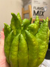 佛手柑云南新鮮佛手果柑應季單個大佛手柑鮮果食用清供把玩聞香 單果250-350g 1個 發(fā)貨均為綠色，長時間擺放會變黃 曬單實拍圖