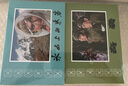 官方旗艦 電影連環(huán)畫(huà)系列 32開(kāi)大精裝絹版連環(huán)畫(huà)地道戰 地雷戰 廬山戀 冰山上的來(lái)客 奇襲 紅樓夢(mèng)普版 四川美術(shù)出版社 絹版 奇襲 封面花邊版 曬單實(shí)拍圖