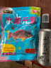 釣魚(yú)箱子多功能全套魚(yú)箱漁具套裝釣箱超輕魚(yú)竿手桿路亞竿套裝 釣椅，魚(yú)竿，釣箱，餌料隨機發(fā) 曬單實(shí)拍圖