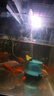 JUWEL高亮曾艷魚缸燈照明燈開關(guān)多功能變色led水族箱專用燈具燈管 燈長27CM（可用30-40CM）5瓦 T4雙排變色燈（單燈）USB接口 曬單實(shí)拍圖