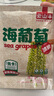 云山半鹽漬海葡萄100g*3即食兒童涼拌菜魚(yú)子醬火鍋商家用贈(zèng)6種蘸料海藻 曬單實(shí)拍圖