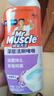 威猛先生（Mr Muscle）潔廁液750g潔廁靈廁所馬桶除臭除菌藍(lán)泡泡潔廁寶清潔劑留香去異味 【檸檬草香】潔廁劑 750g*2瓶 曬單實(shí)拍圖