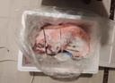 京沭全羊整只半只羊禮盒原切羊肉羊排羊腿羊蝎子生鮮火鍋凈重羊肉禮盒 【99%好評】寧夏灘羊半羊10斤 曬單實拍圖