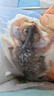 海名威 冷凍三去海鱸魚(yú)880g/2條 (配料包) 海魚(yú) 生鮮魚(yú)類(lèi) 海鮮水產(chǎn)  曬單實(shí)拍圖