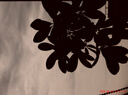 FETANA數(shù)碼相機(jī)12倍光學(xué)變焦學(xué)生入門級(jí)高清照相機(jī)伸縮鏡頭高中生vlog拍照旅游專用ccd卡片機(jī)專業(yè)攝影 白色【可伸縮鏡頭丨翻轉(zhuǎn)屏自拍丨12倍光學(xué)變焦】 256G內(nèi)存卡 曬單實(shí)拍圖