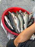 一味化氏max超輕超硬手桿魚(yú)桿碳素野釣巨物竿魚(yú)竿釣鰱鳙高碳 6.3m 現(xiàn)貨-MAX-26%用戶(hù)選擇 曬單實(shí)拍圖