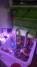 YEE魚缸燈LED水草燈筒燈爆藻草缸燈鋁合金小吊燈防水超亮專用射燈 【三色款】8w/適合魚缸40cm以內(nèi) 曬單實(shí)拍圖