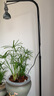 光聯(lián)天下 植物補(bǔ)光燈專(zhuān)用配件電源延長(zhǎng)線(xiàn)燈頭線(xiàn)防摔插座大功率燈具連接線(xiàn) 2.5米陶瓷燈頭線(xiàn) 曬單實(shí)拍圖