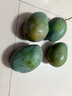 京覓四川凱特芒果新鮮水果凈重8斤單果410g+源頭直發(fā)包郵 曬單實(shí)拍圖