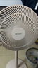 夏普（Sharp）直流變頻電風(fēng)扇/一級能效落地扇/臺地兩用桌面扇廣角搖頭強勁風(fēng)力節(jié)能輕音7檔調(diào)節(jié)PJ-CD203A 曬單實拍圖