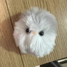 IGNB可愛(ài)小肥啾玩偶毛絨玩具書(shū)包小掛件公仔娃娃生日禮物女生鑰匙扣 小肥啾公仔一個(gè) 曬單實(shí)拍圖