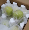梨園頤珍正宗碭山梨 新鮮青脆蜜梨皇冠梨脆甜無(wú)渣多汁爽口當(dāng)季頭茬現(xiàn)摘梨 國(guó)家地理標(biāo)志授權(quán)認(rèn)證產(chǎn)品 凈重4.5斤左右（中大果） 曬單實(shí)拍圖