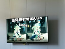康佳電視 J40E 40英寸 1+8GB內存 全面屏智能語音網(wǎng)絡WIFI 全高清臥室平板電視 二級能效國家補貼43 32 曬單實拍圖
