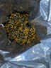 福東海 洋甘菊100克【新鮮晾曬】菊茶茶花草茶搭野菊花干花原料泡水喝 曬單實(shí)拍圖