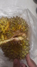 泰國金枕榴蓮整箱鮮榴蓮進(jìn)口鮮果A果整個帶殼時令生鮮 A級|3-4斤|包3-5房|性價比 曬單實拍圖