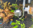 鋁合金細化器魚(yú)缸二氧化碳霧化器水草缸造景CO2發(fā)生器擴散器 鋁合金細化器+濕片+吸盤(pán)2個(gè)+co2氣管2米 曬單實(shí)拍圖