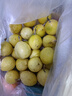海南欽蜜9號黃金百香果啟鴻 新鮮水果純甜 如蜜 40個裝（30-45g） 曬單實拍圖