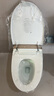 恒潔（HEGII）智能馬桶H5Pro 自動(dòng)感應(yīng)翻蓋舒沐洗泡沫盾無水壓限制HC0972U-400 曬單實(shí)拍圖