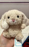 JELLYCAT甜美卷毛公仔甜美小兔米色可愛(ài)毛絨玩偶玩具七夕禮物送女友 甜美兔米色 15cm 曬單實(shí)拍圖